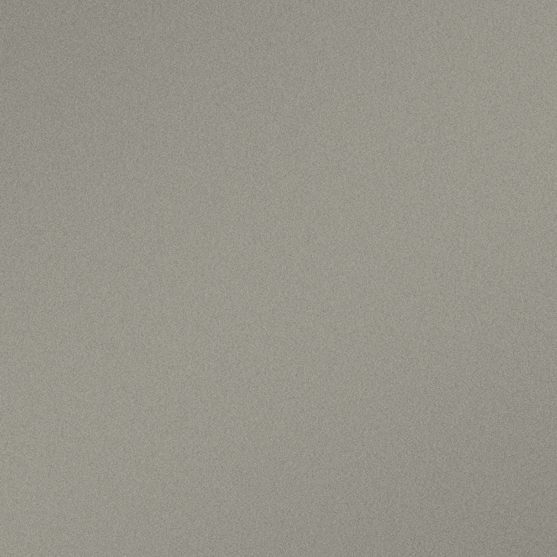 Texas Silver Metallic Front