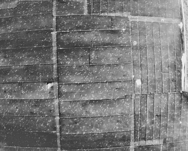 FSR contractor inspecting a roof